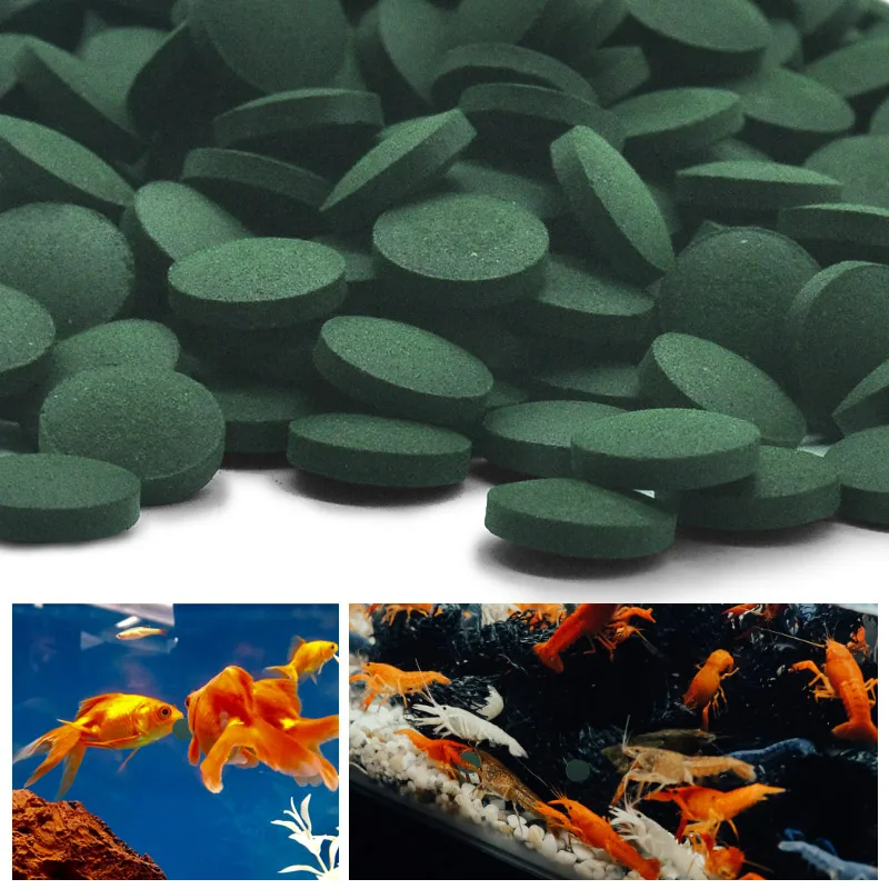 Spirulina Tablet Organic - 100-500 PCS ความบริสุทธิ์สูงสาหร่ายเกลียวทองเม็ดเกลียวสาหร่าย Enrichment ที่ชื่นชอบสัตว์เลี้ยงอาหารปลาคริสตัลกุ้งสีแดงปลาอาหาร Aquarium